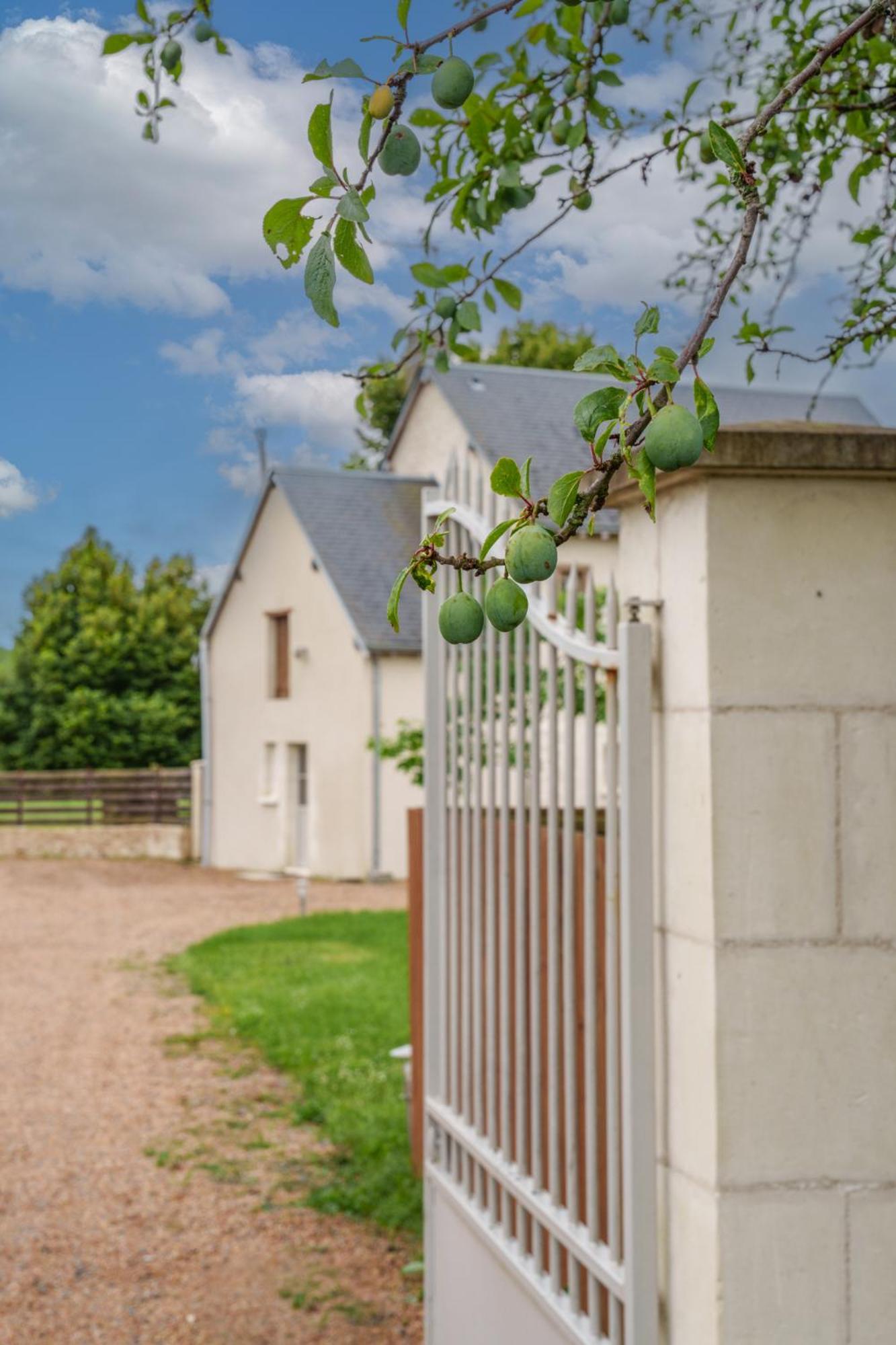 Maison Campagne Proche Tours Et Loches 6 Personnes Saint-Branchs Exterior foto